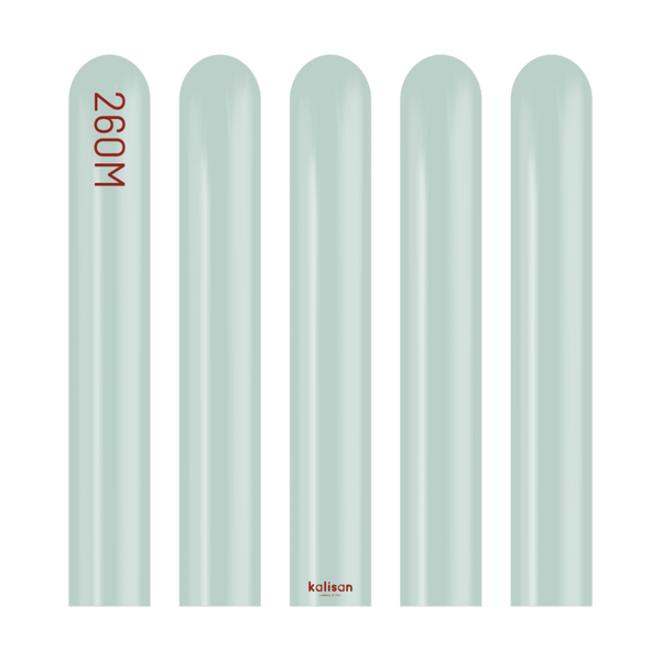260 KALISAN Modelling Aura ICE MINT Nozzle Up 50 bag #10270825
