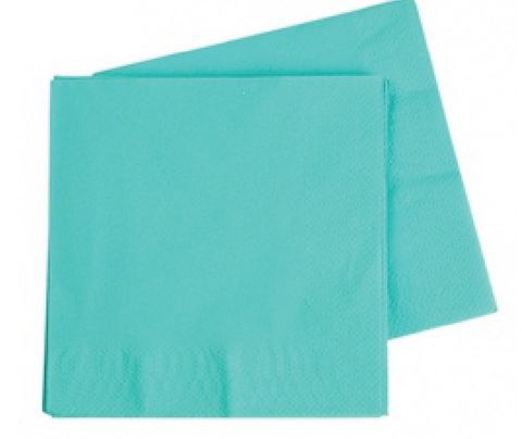 Dinner Napkin Classic TURQUOISE Pack of 40 #FS6073CT