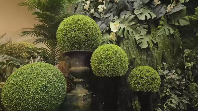 Triangular Boxwood French BOXWOOD Ball 25cm AABF25 – Papillon Promotional Marketing Limited