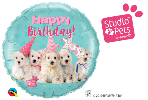 45cm Round Foil Studio Pets Birthday Puppies  #57620 - Each (Pkgd.)