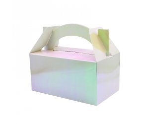 Lunch Box IRIDESCENT 5 Pack #FS6230IRP