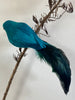 Bird Fat Robin w Clip Peacock Blue #AAFBP