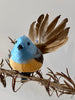 Bird Feather Fantail w Clip #AAFNI