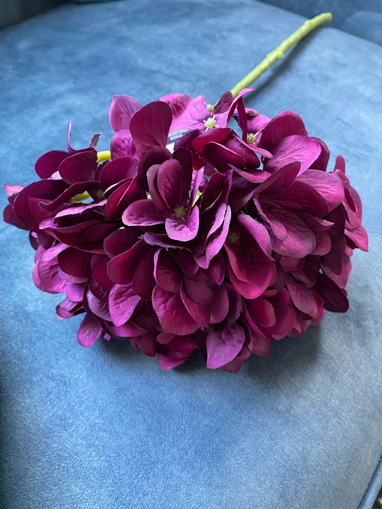 Large French HYDRANGEA #AAFHGR Wine/Navy -Each