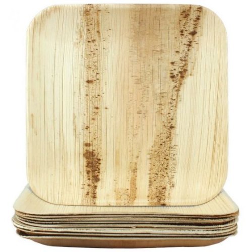 Palm Leaf SQUARE Plate 10