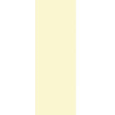 Poly Plain #09 200 Yards Pearl Ivory #49262 - Each