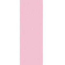 Poly Plain #09 200 Yards Pink #46965 - Each