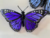 Butterfly Magnet set of 3 Blues #AABMMB
